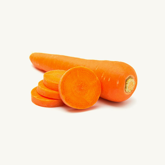 carrot